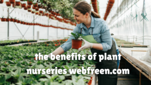 The Benefits of Plant Nurseries Webfreen.com: A Comprehensive Guide