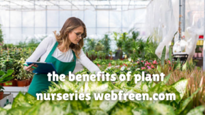 The Benefits of Plant Nurseries Webfreen.com: A Comprehensive Guide